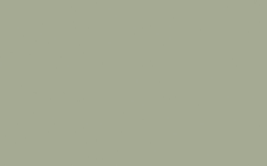 Boringdon Green™ 295  M