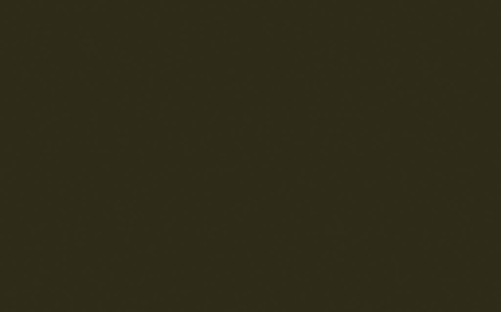 INVISIBLE GREEN 56 T