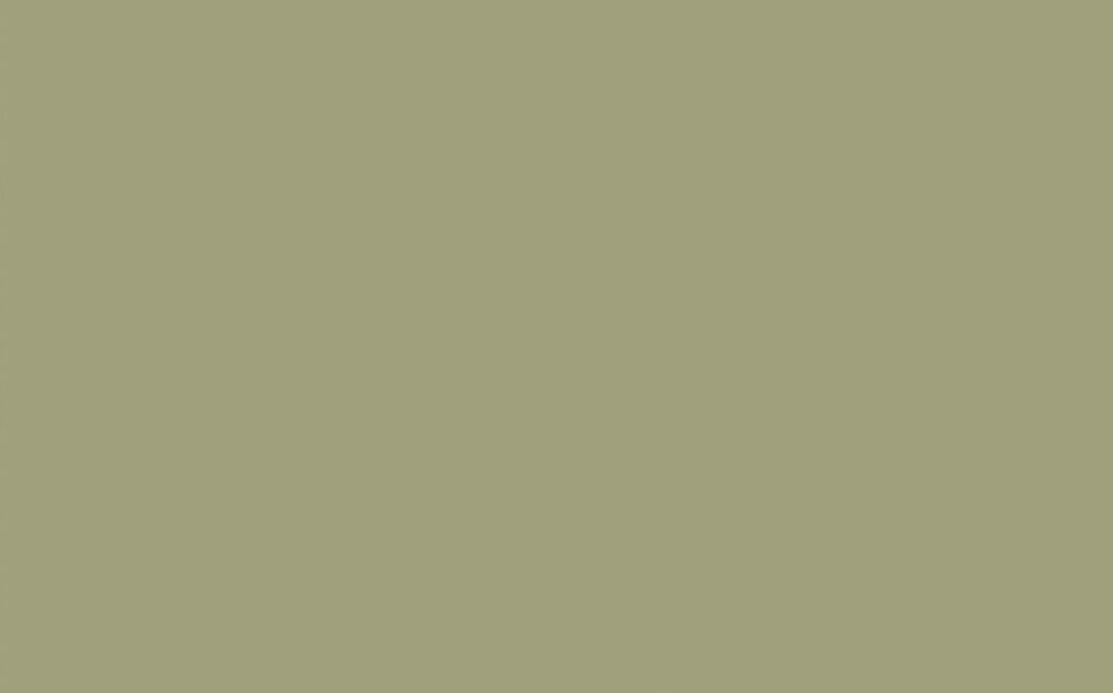Normandy Grey 79