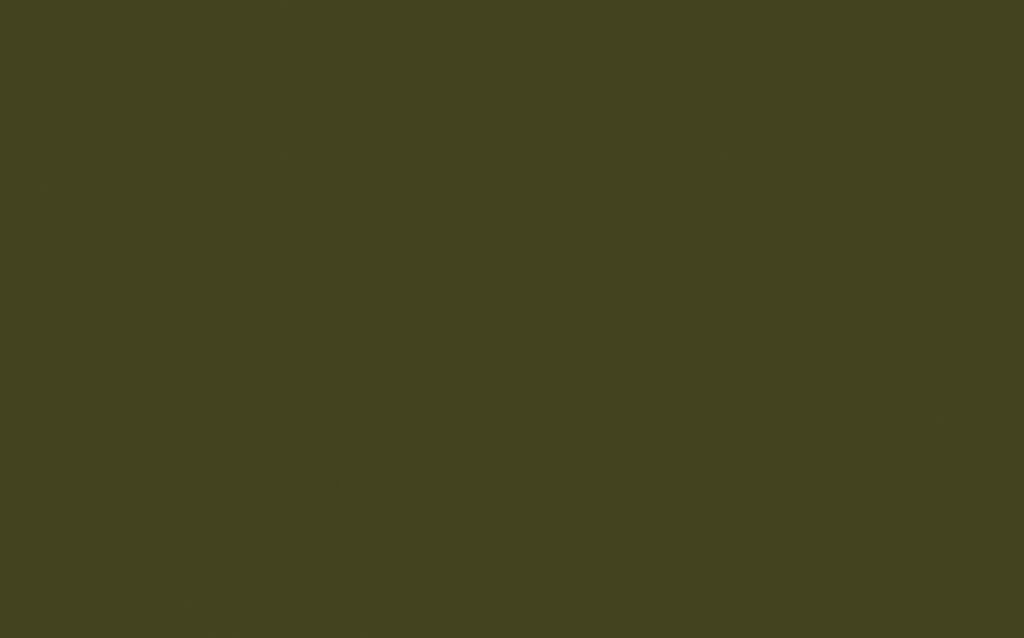 OLIVE COLOUR 72 T