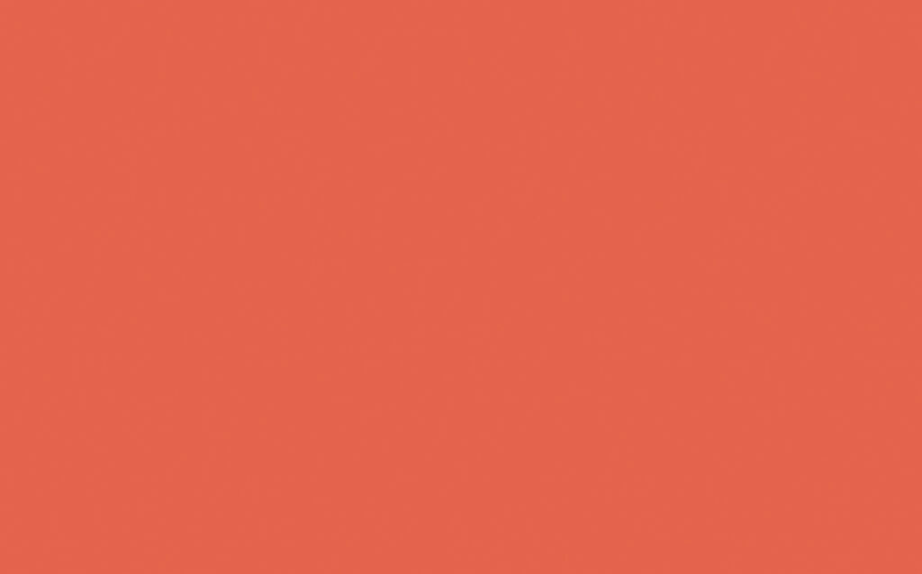 ORANGE AURORA 21 D