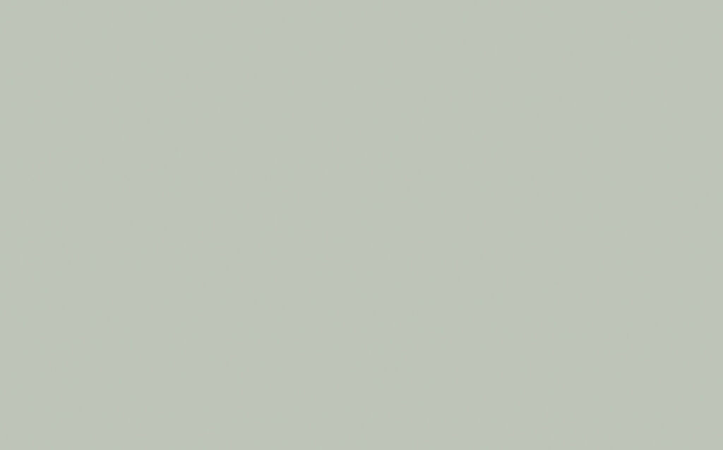 PEARL COLOUR - DARK 169 H