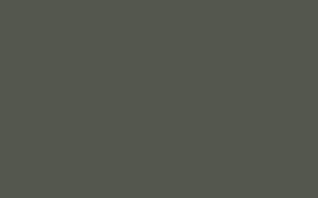 Pompeian Ash™ 293  X