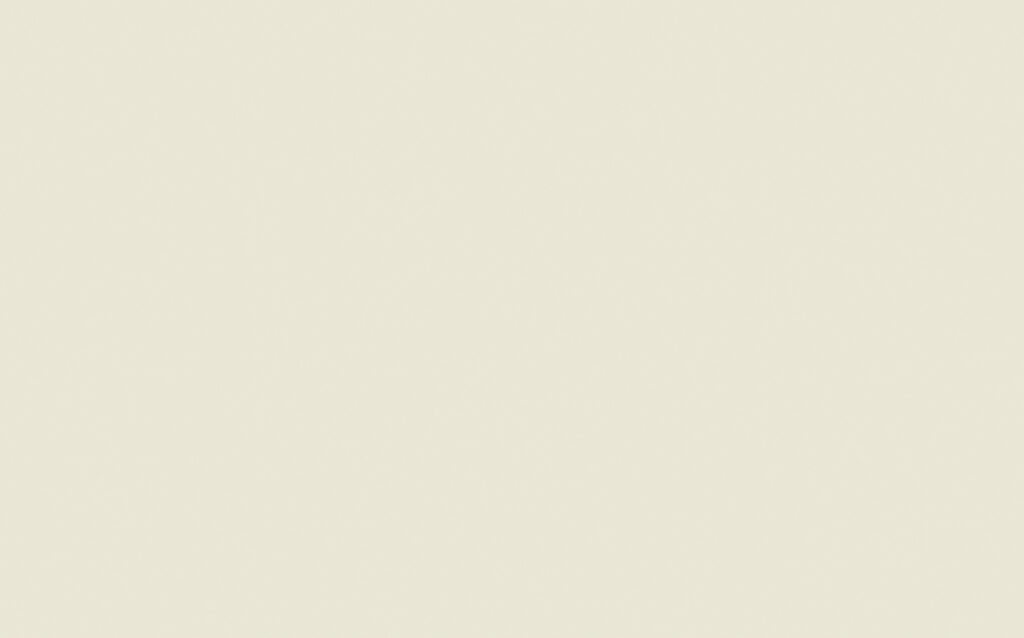 PORTLAND STONE - PALE 155 H