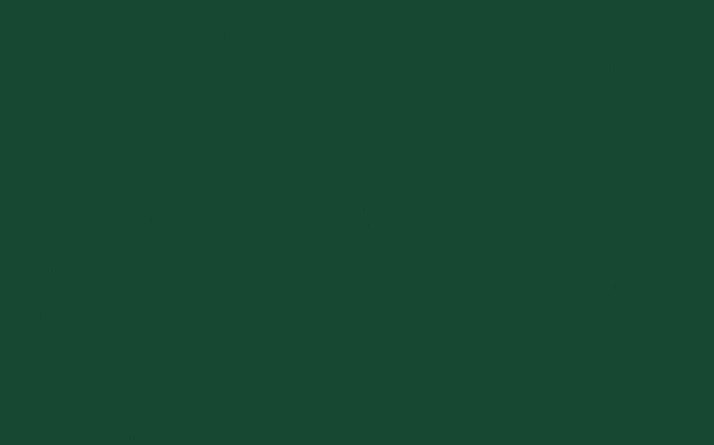 Puck™ 298 T