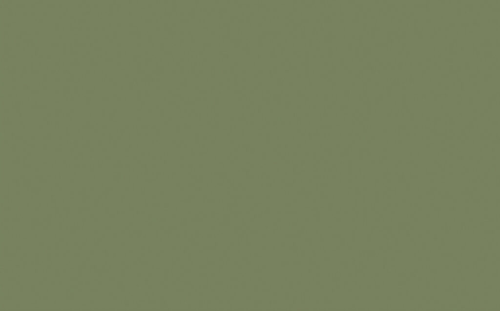 SAGE GREEN 80 D